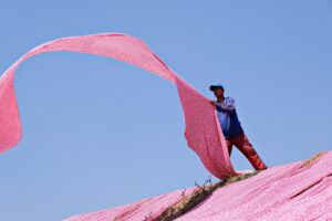 乾燥肌対策におすすめの安いセラミドサプリは？