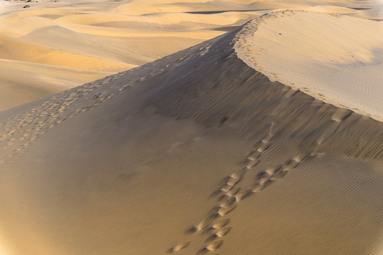 乾燥肌に効果的なセラミドサプリの添加物が気になる方へ？