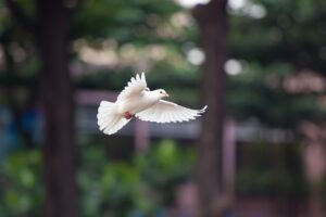 乾燥肌対策に役立つセラミドサプリの成分表をチェックする方法は？