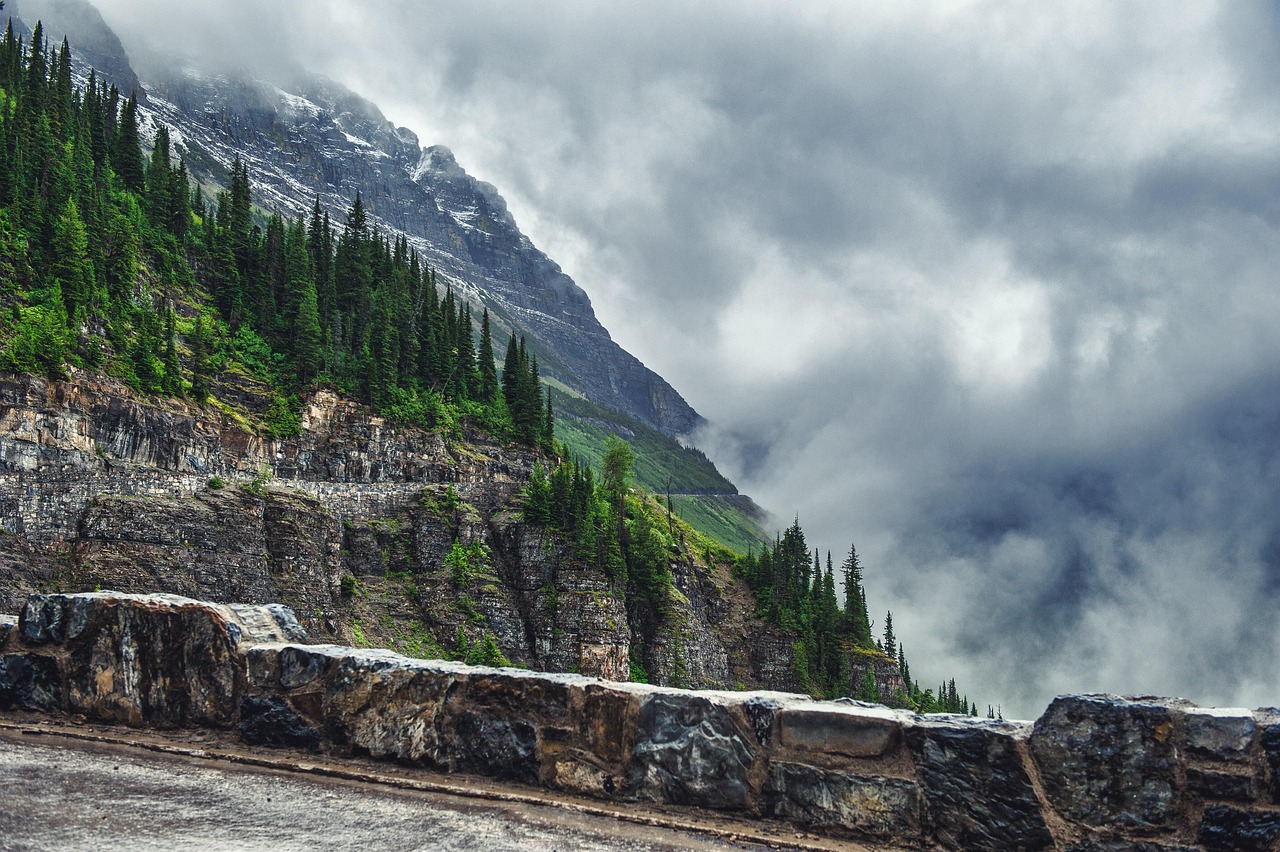 セラミドNP配合の化粧品で表記の見方はどうなっているの？