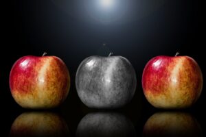 機能性表示のセラミドに関する根拠を示す論文は？