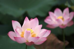 ダブル洗顔を乾燥肌の人がやめるべきか判断するポイントは？
