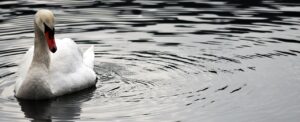 朝洗顔に水だけで乾燥肌向けの効果はあるの？