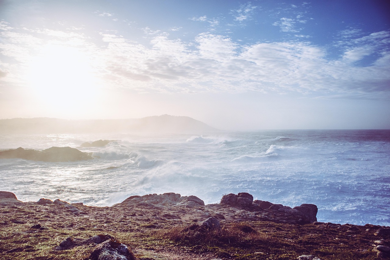 セラミドが多い食品を取り入れた1週間の献立は？