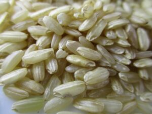 玄米を食べることでセラミドはどれくらい増えるの？
