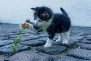 睡眠中の乾燥対策に効果的なナイトクリームは？
