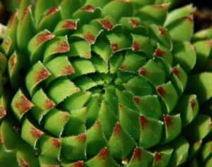 粒数が多いサプリの効果的な続け方は？